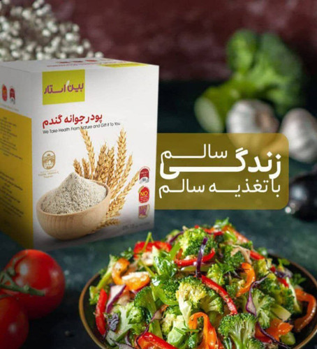 پودر جوانه گندم بین استار بیز چاق کننده و شفاف کننده پوست صورت